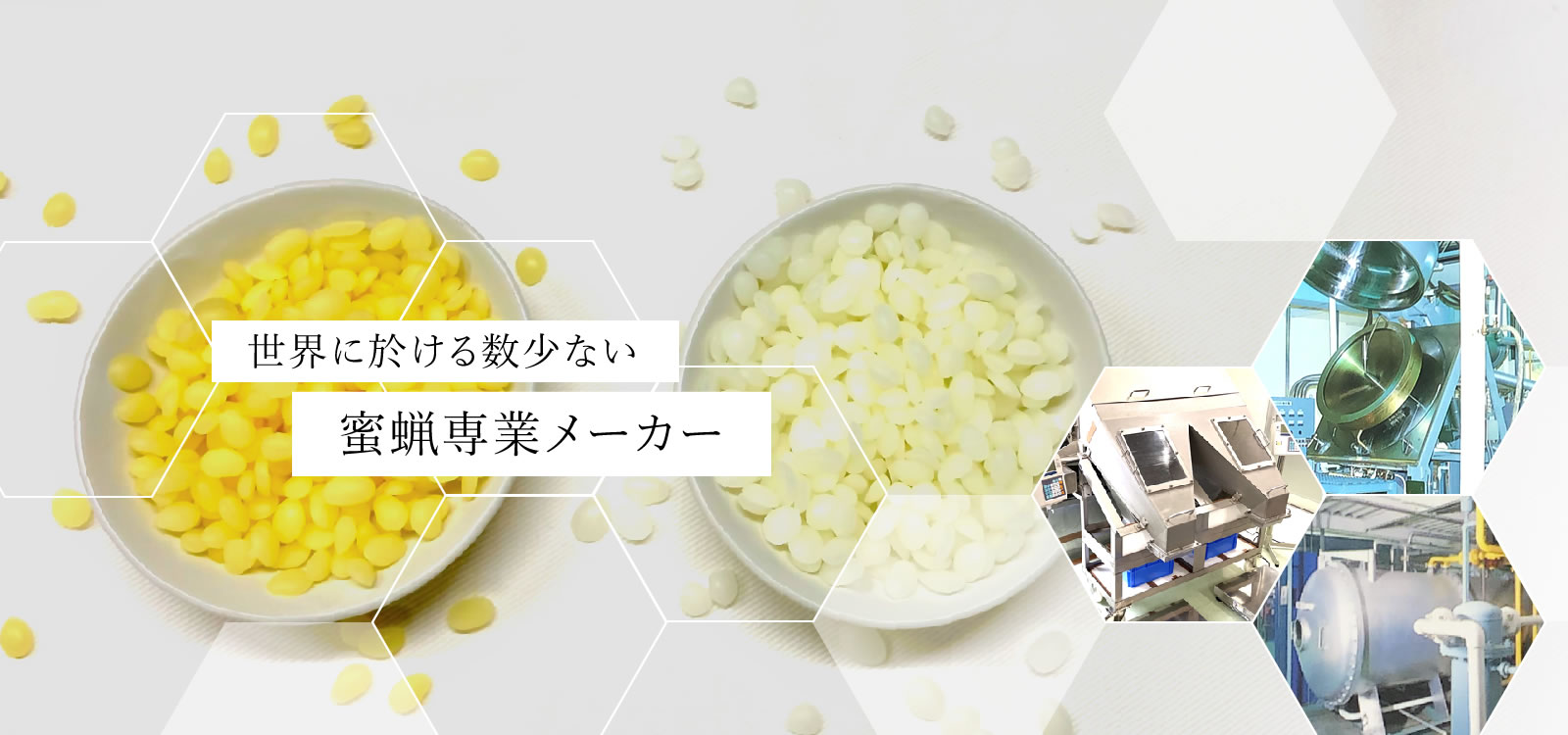 世界に於ける数少ない蜜蝋専業メーカー